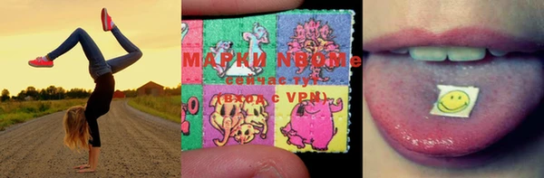 гашик Вязьма