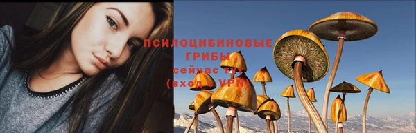 MDMA Вяземский