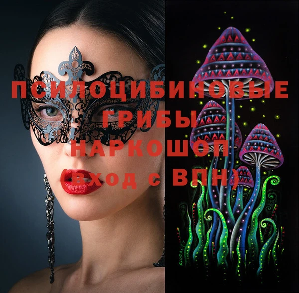 гашик Вязьма