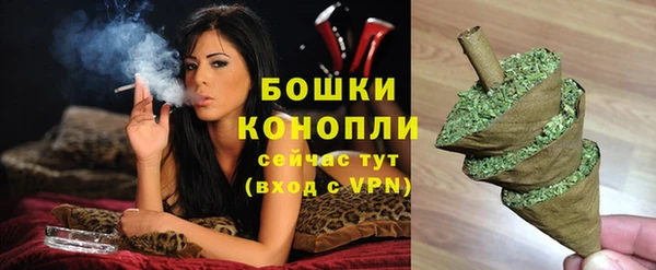 гашик Вязьма